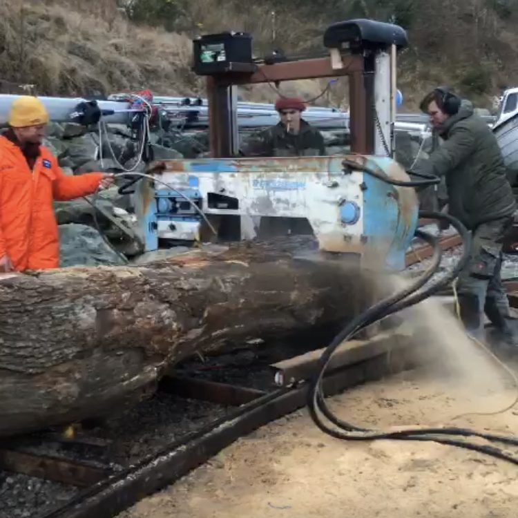 Sawmill. Milling a big oak log.